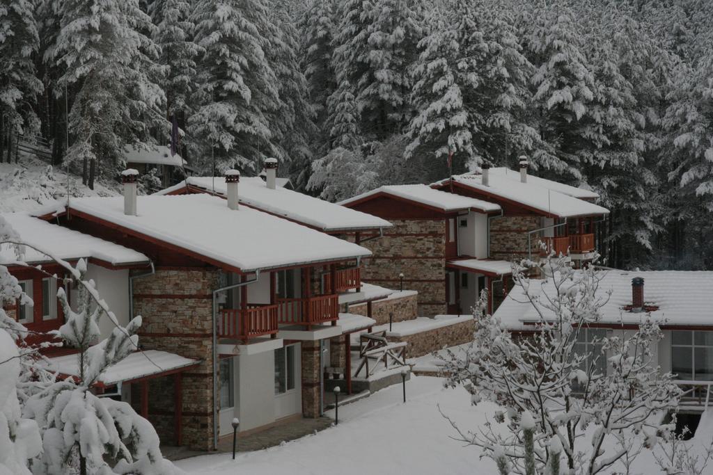 Guesthouses Prav Kamen Dolno Dryanovo Exteriör bild